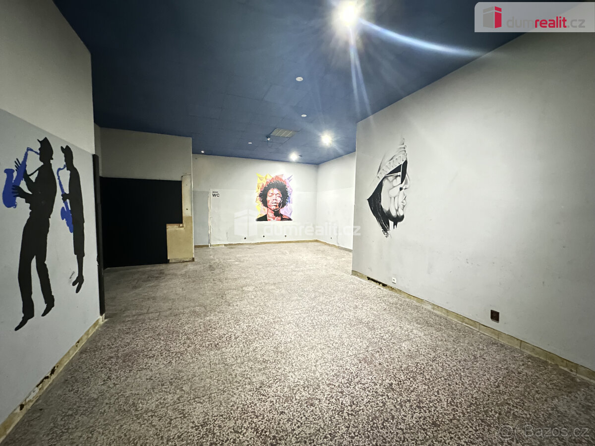 Kmerční prostor 200m2, Na Valtické - 6