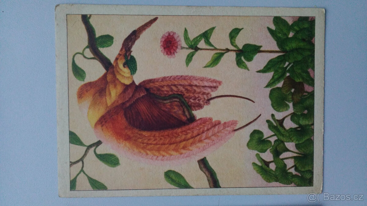 Staré pohlednice, Otto Zahrada, 3 ks - 6