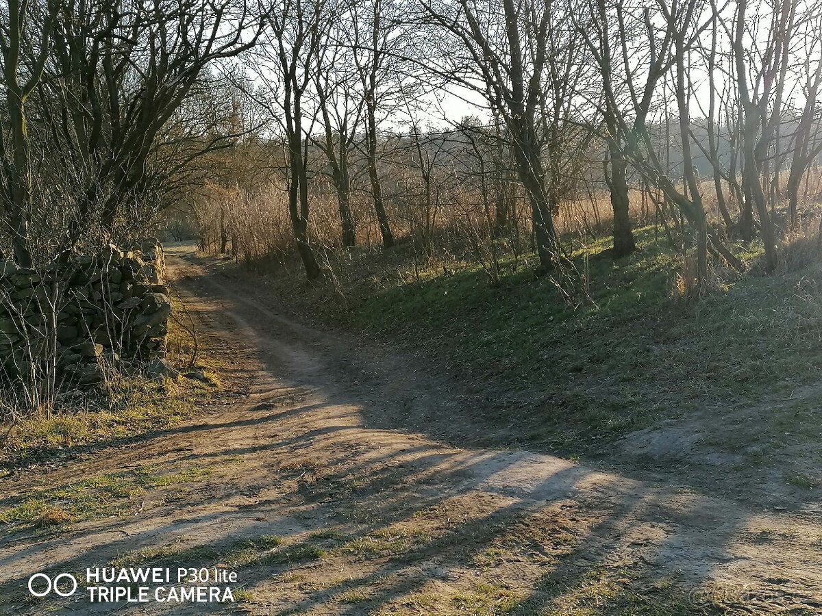 Vyjížďka na koni v Národním parku Podyjí - 6