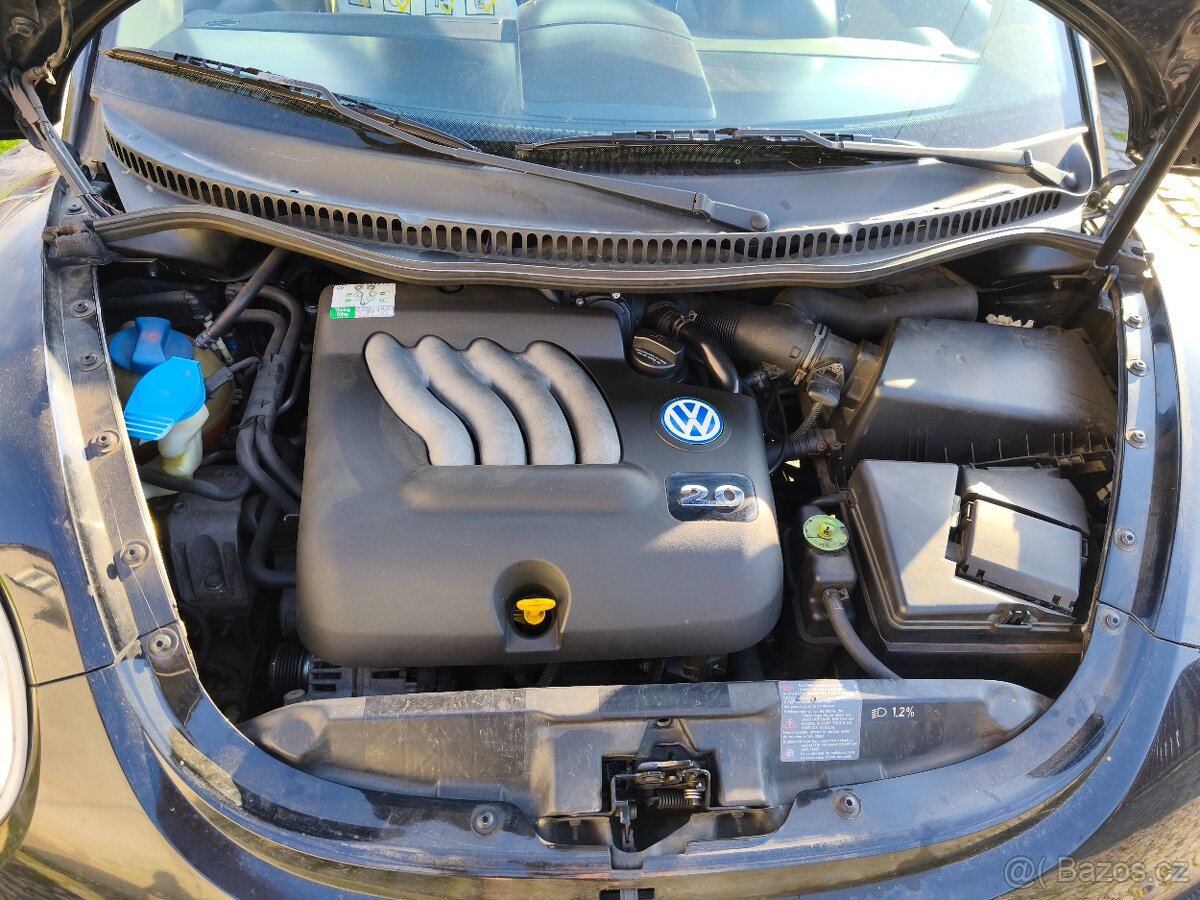 New Beetle - 6