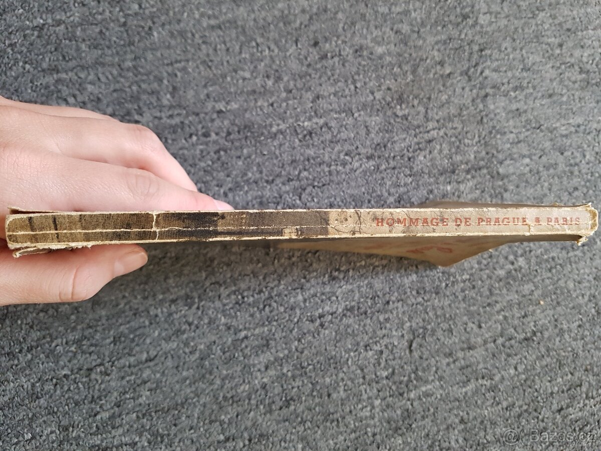 Hommage de Prague à Paris - 6