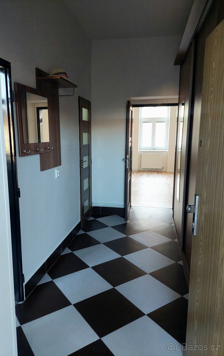 Byt 1+1 46m2 Jugoslávská Brno - 6