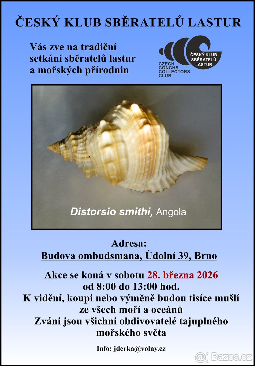 Pexeso s mořskými mlži (Bivalvia) NOVÉ - 6