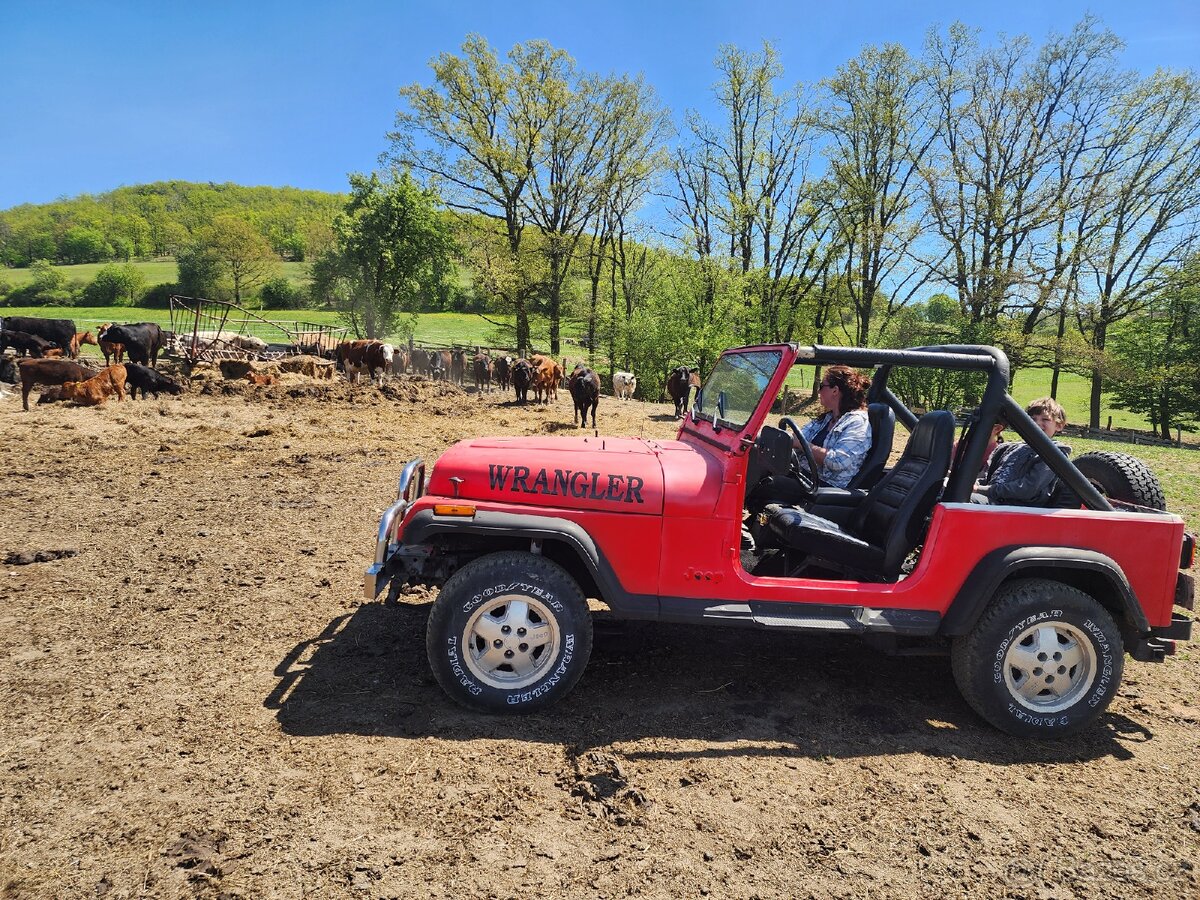 Jeep Wrangler - 6