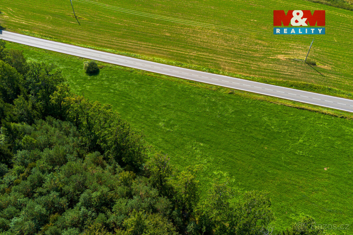 Prodej louky, 8721 m², Hracholusky - 6