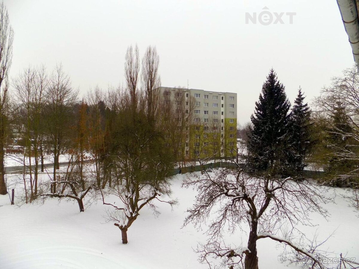 Prodej komerční Činžovní dům, 423㎡ - 6