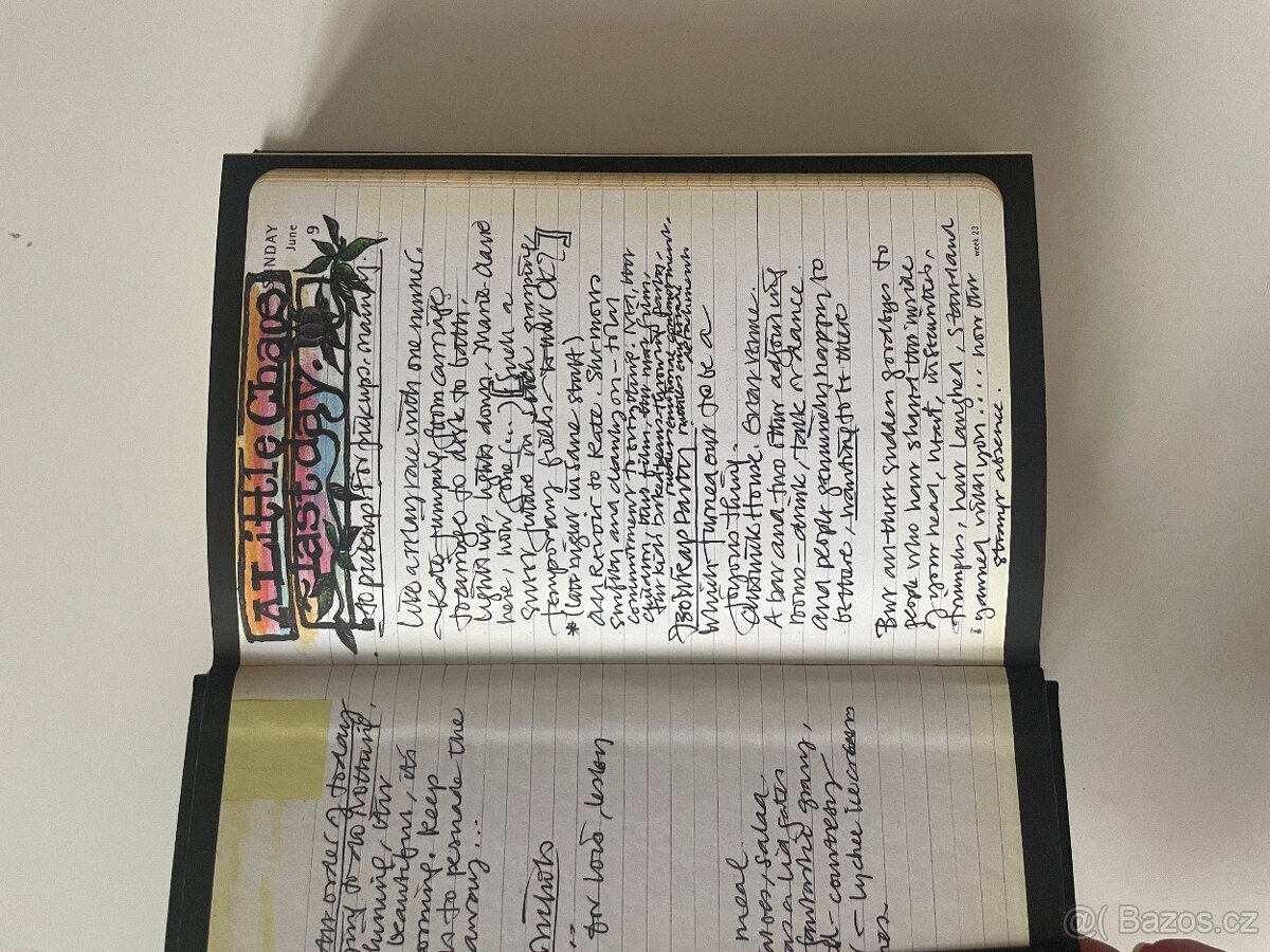 Alan Rickman Deníky - 6