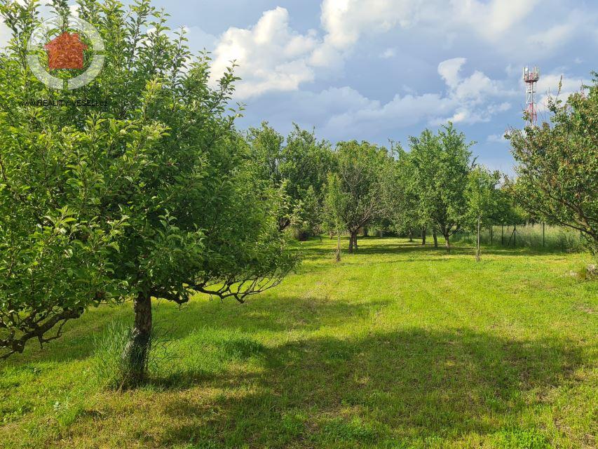 Prodej zahrady Veselí nad Moravou, 2999 m2 - 6