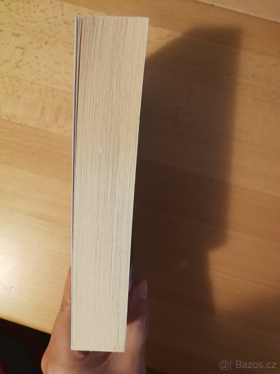 Řetěz ze zlata - Cassandra Clare - 6