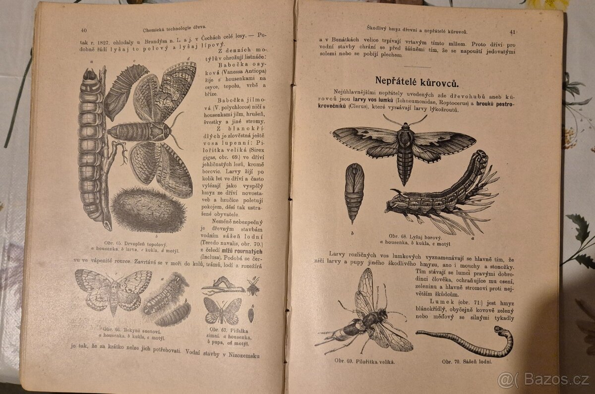 Historické- Tesařství. - 6