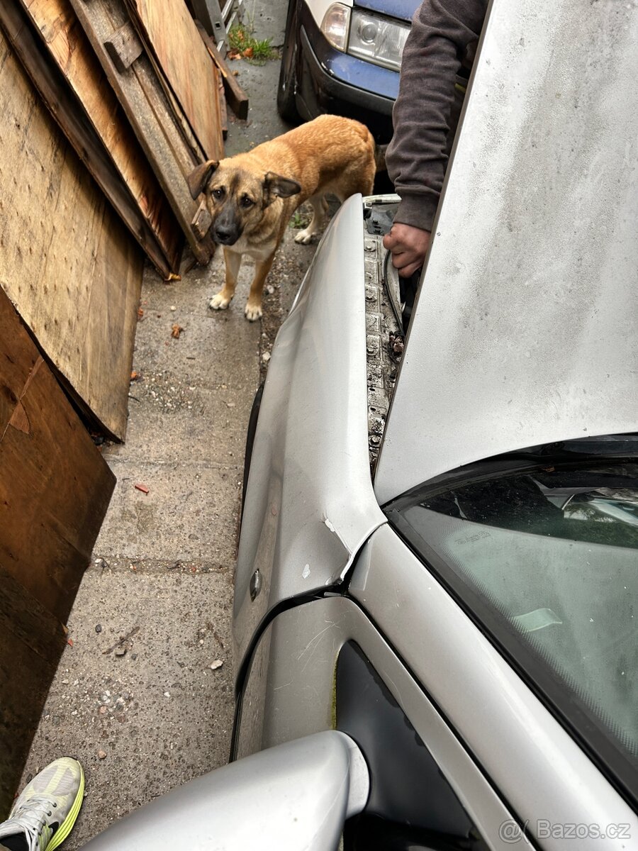 Škoda Octavia 1.9 TDI 74kw 4x4 - 6