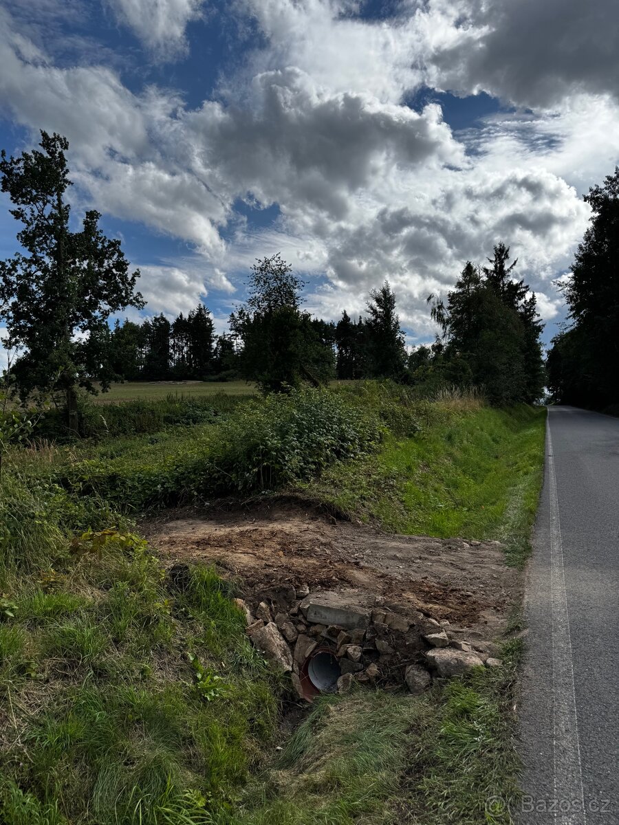 Prodej lesa 880m2 Radkovice - 6