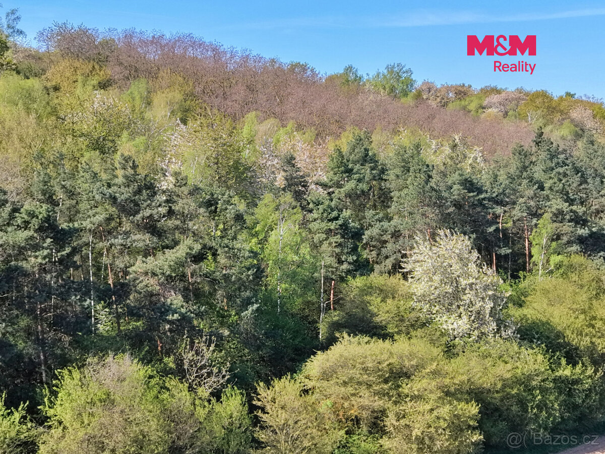 Prodej lesa, 5857 m², Kounice - 6