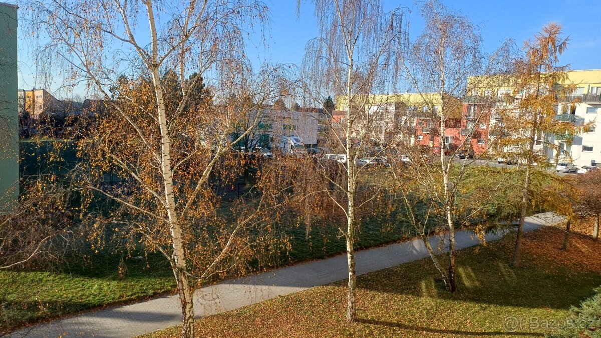 Pronájem bytu 2+1 Na Radouči Mladá Boleslav - 6