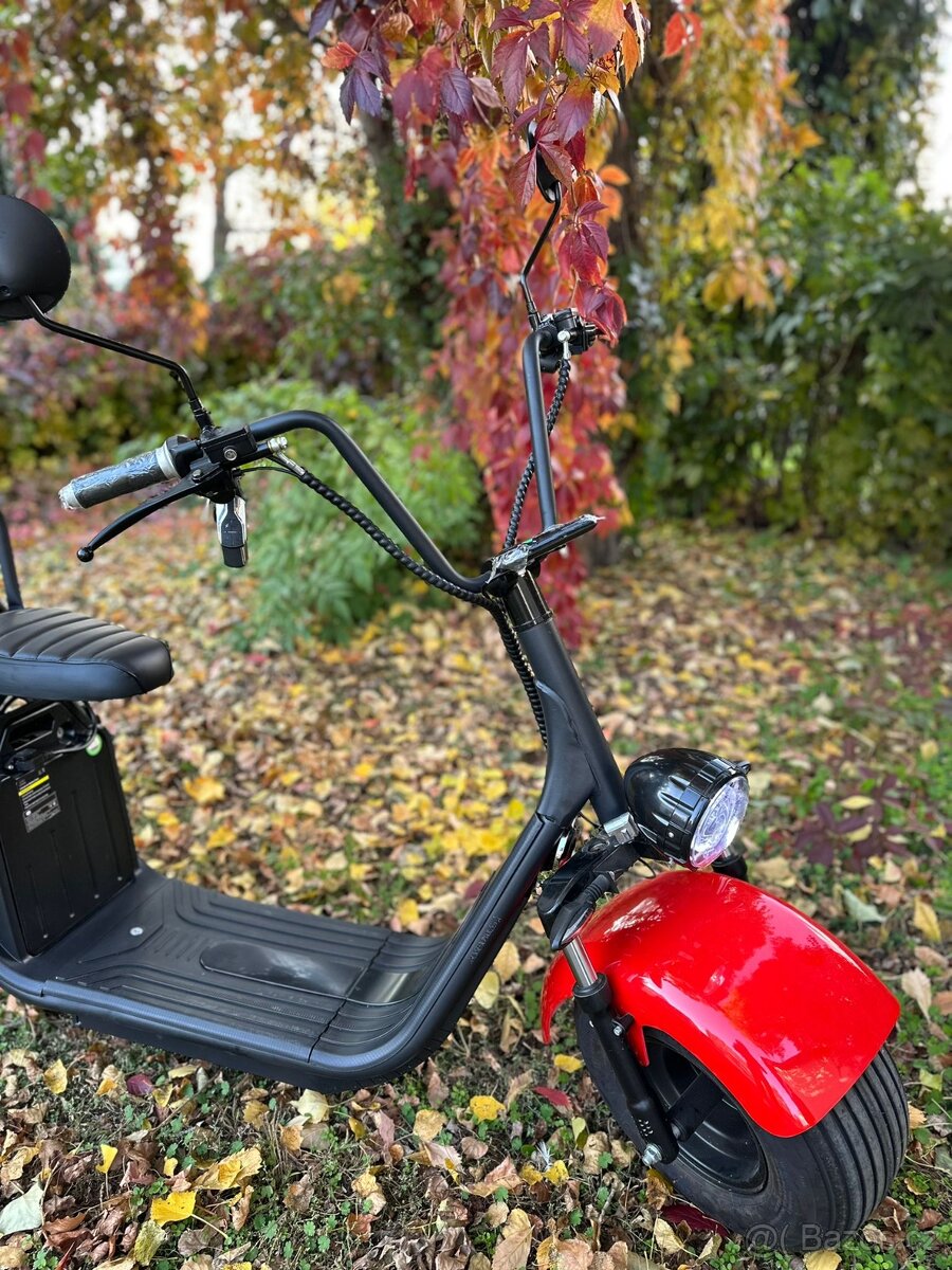 Elektrický chopper GAEA - 6