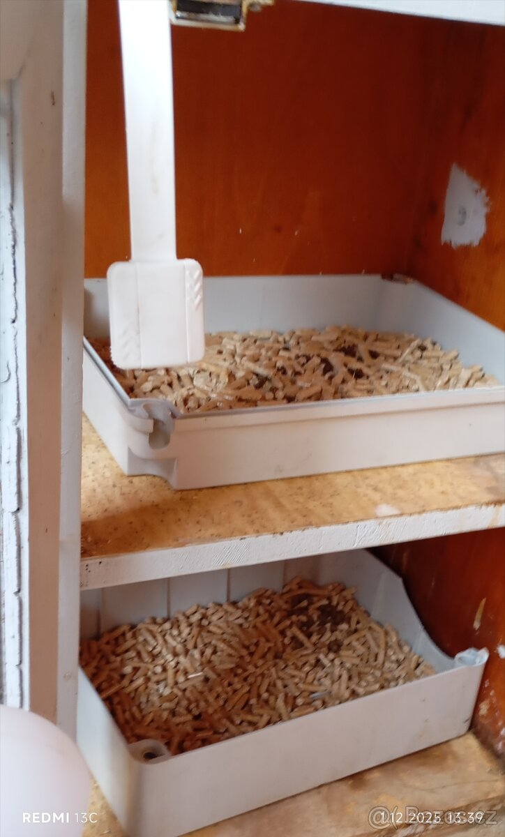 2 zakrslí králíčci s klecí - 6