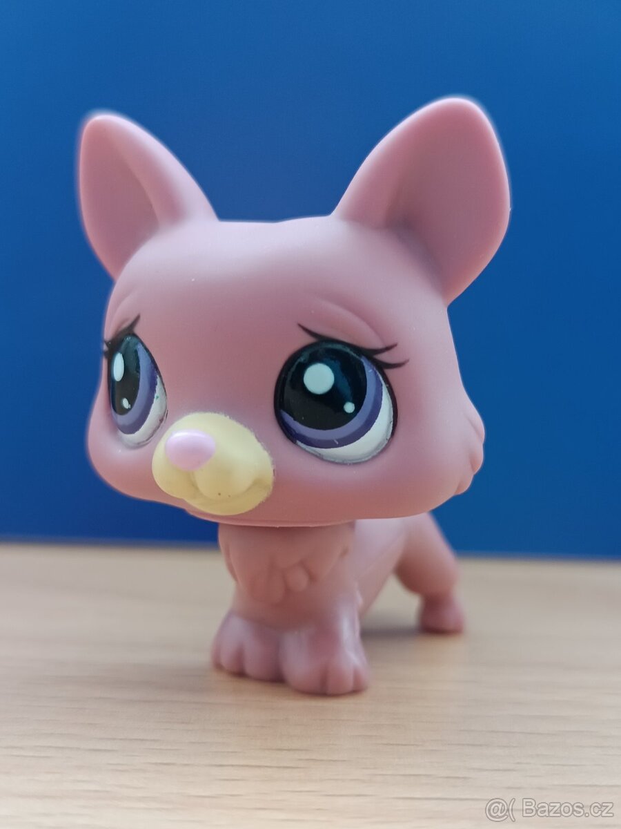 ☘️ LPS pejsek Corgi + růžová kočička + brýle ☘️ - 6
