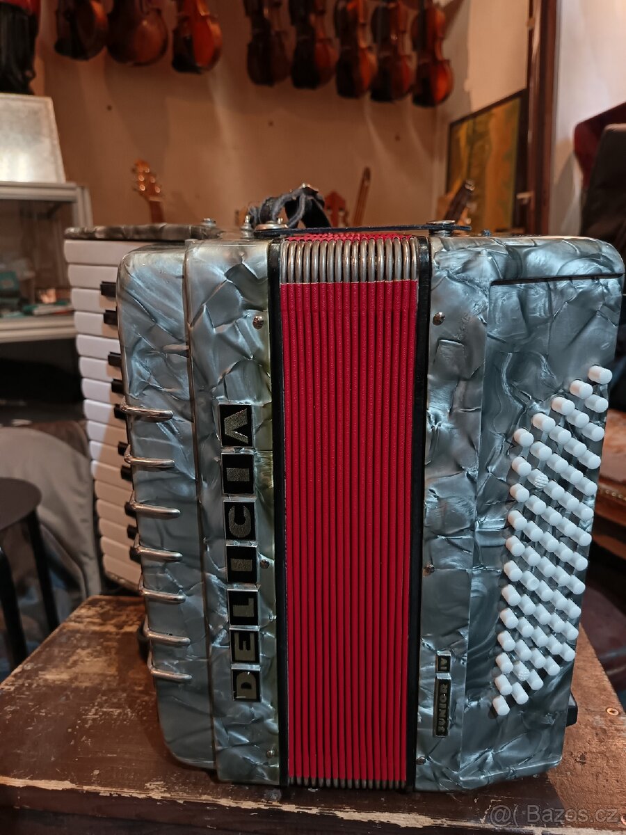 Acordeon Delicia Junior IV - 6