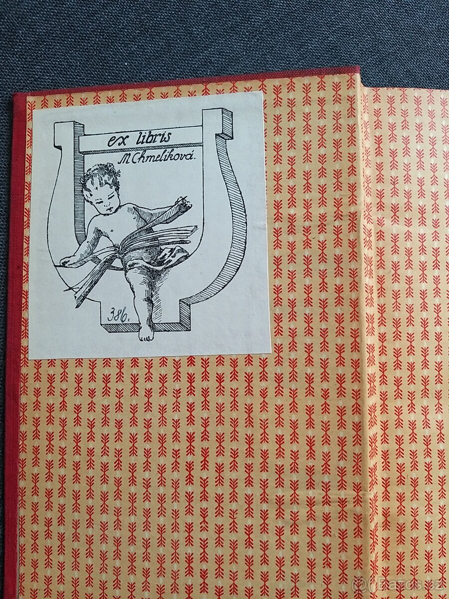 F.M.Dostojevskij Bratři Karamazovi I dil . - 6