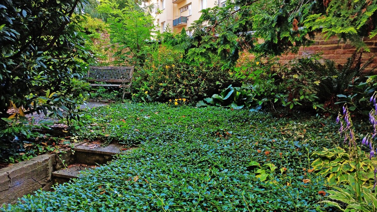 Prodej budovy 537 m2, Znojmo-centrum - 6