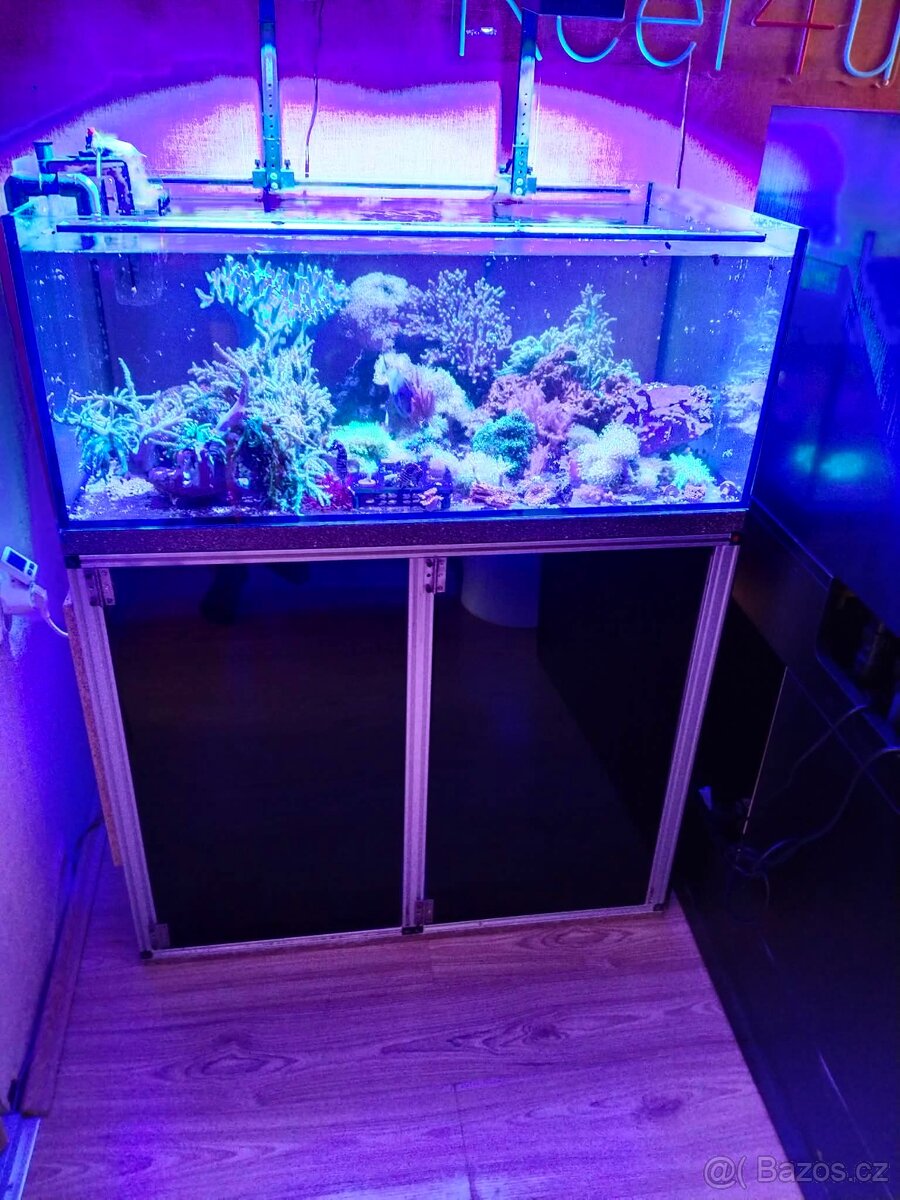Mořské akvárium - 6