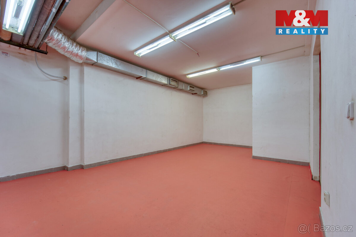 Pronájem skladu, 47 m², Plzeň, ul. Sousedská - 6