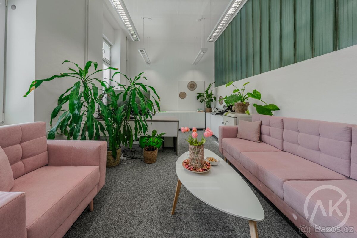Pronájem dostupné a reprezentativní kanceláře, ul. Ruská - 6