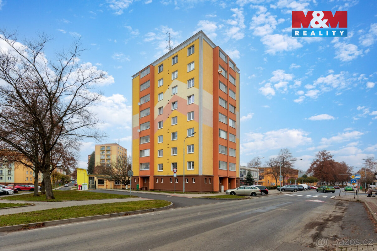 Prodej bytu 3+1, 58 m², Nová Role, ul. Chodovská - 6