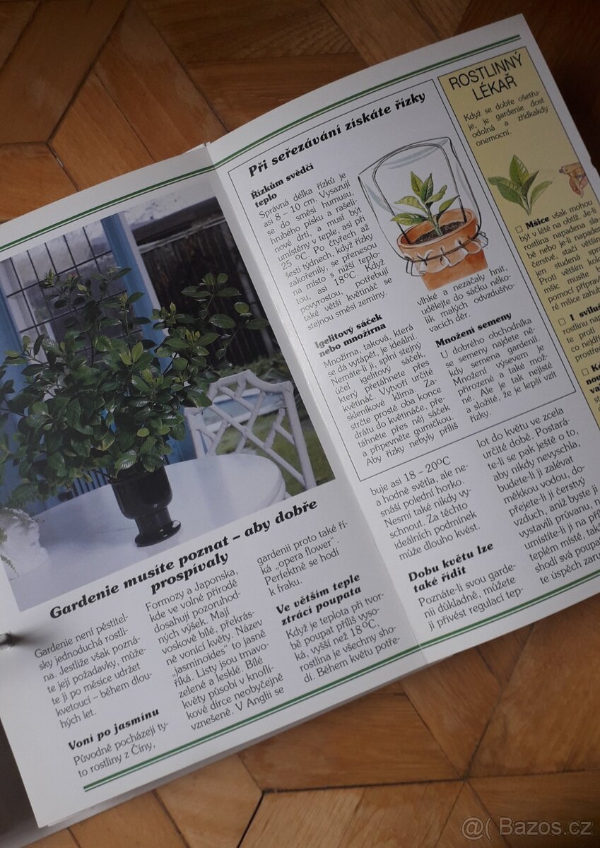 Květiny od A do Z - 6