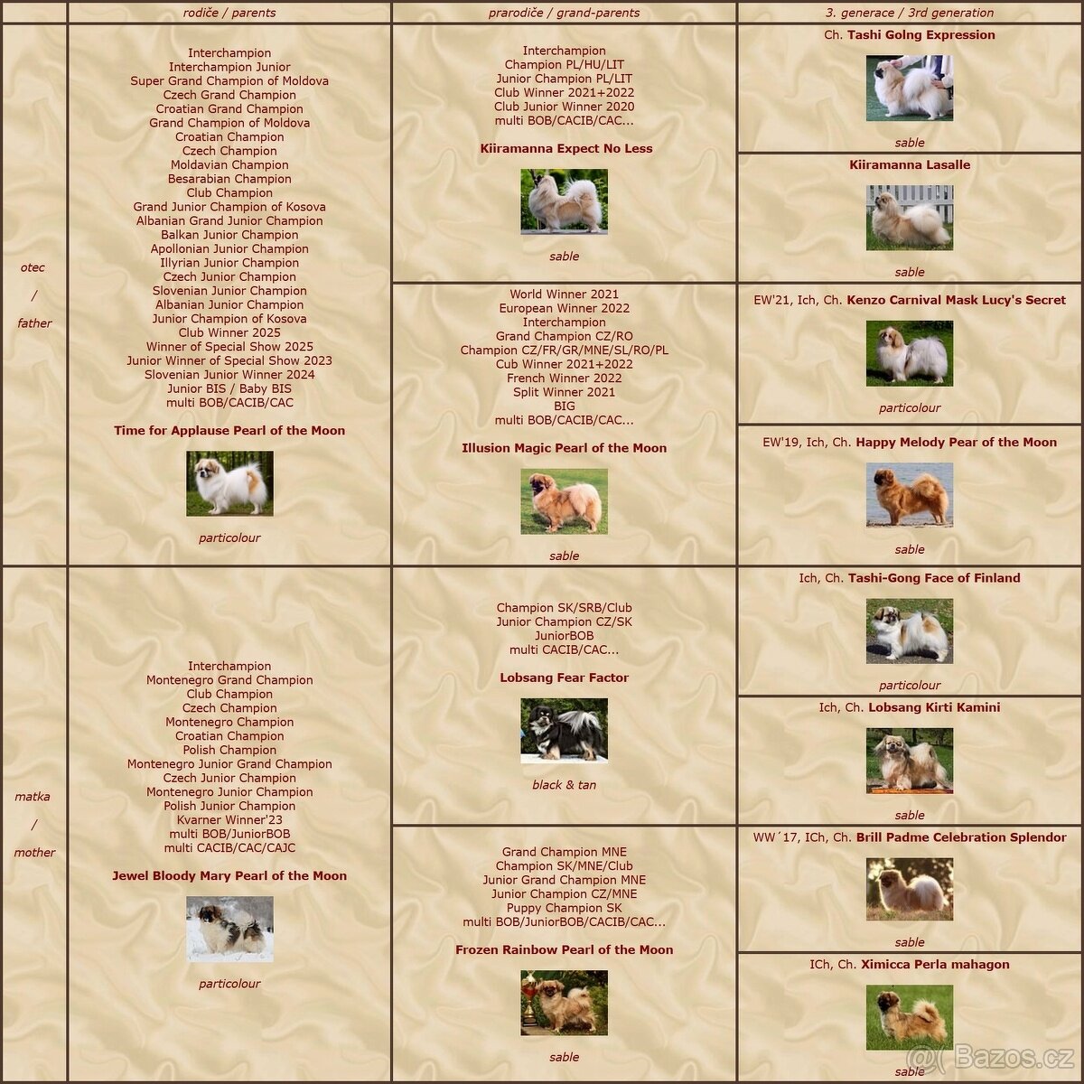 Tibetský španěl - 6