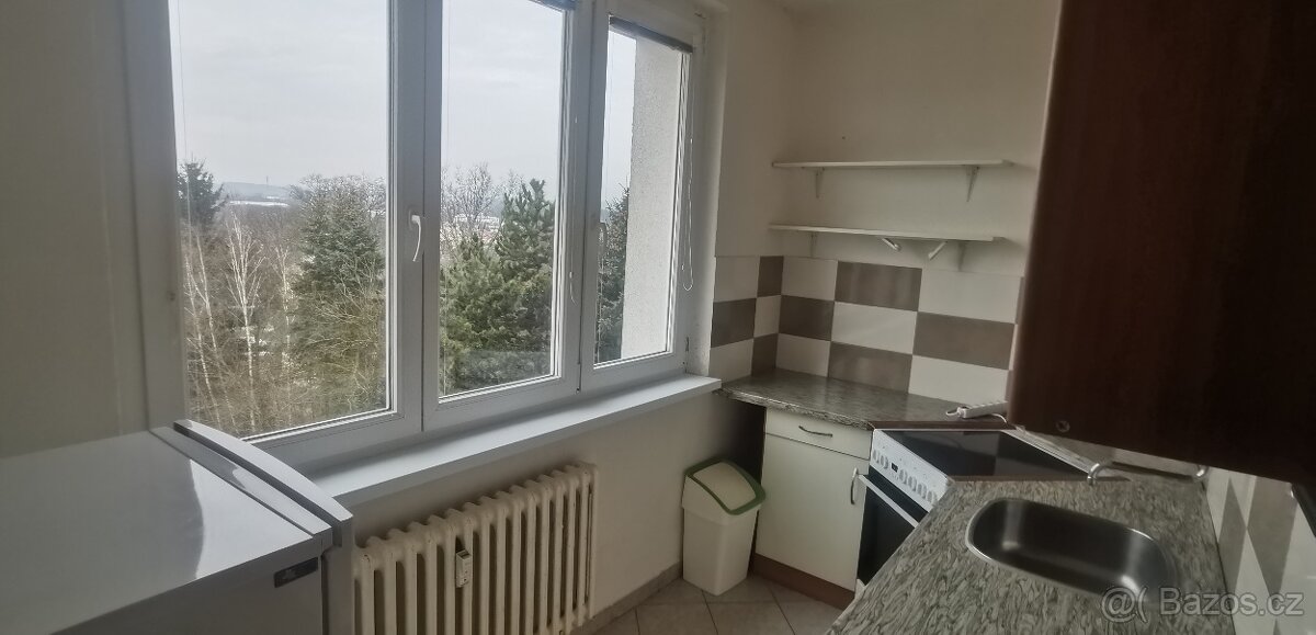 Pronájem 2+1 Dalovice - 6