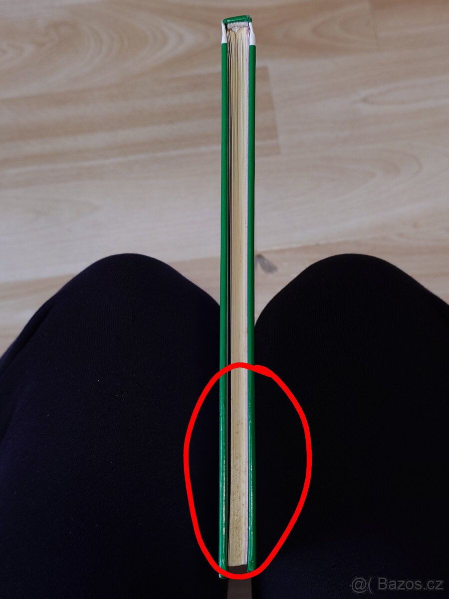 Dinosauři - první dětská knihovna - 6