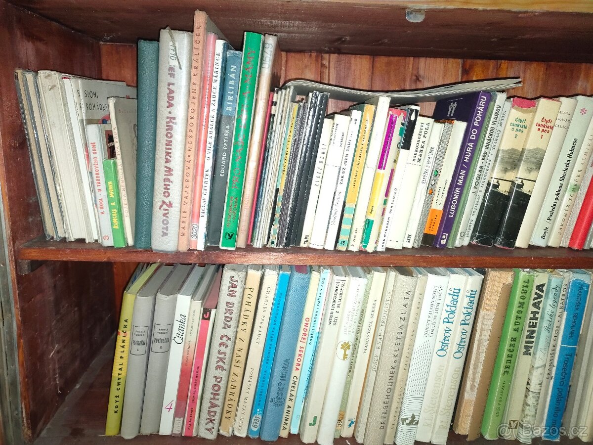 Knihy pro děti a mládež - 6