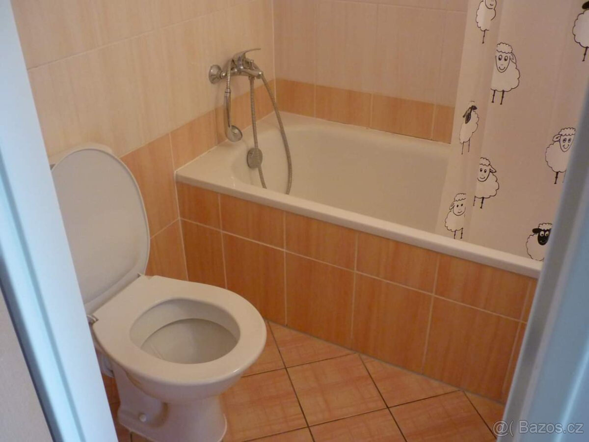 Pronájem bytu 1+kk, Kavaléristů, Hodolany, 12300Kč/měs, 26 m - 6