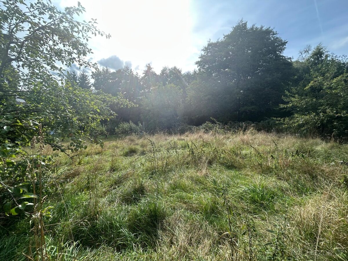 Dům 4+1 ve Štědré, pozemek 2064 m2 - 6