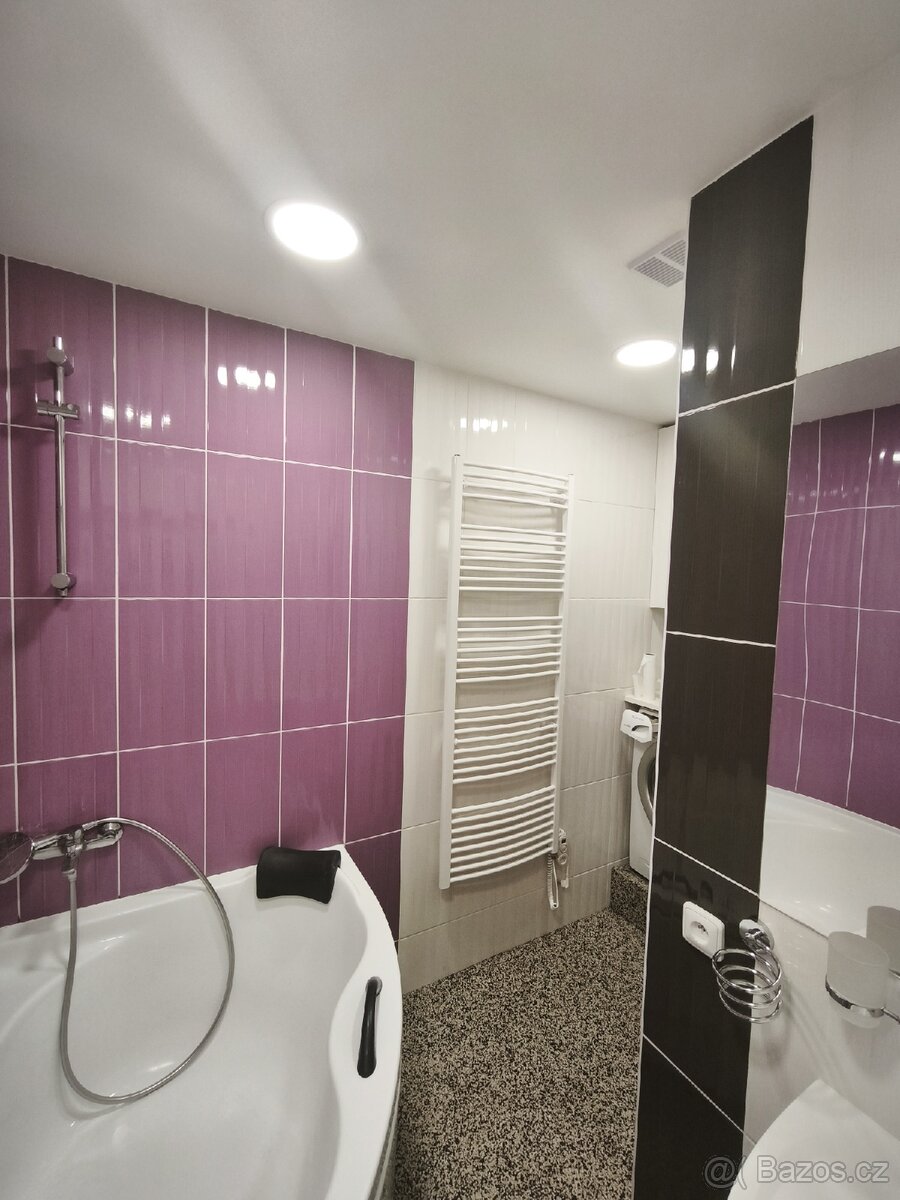 Pronájem - 6