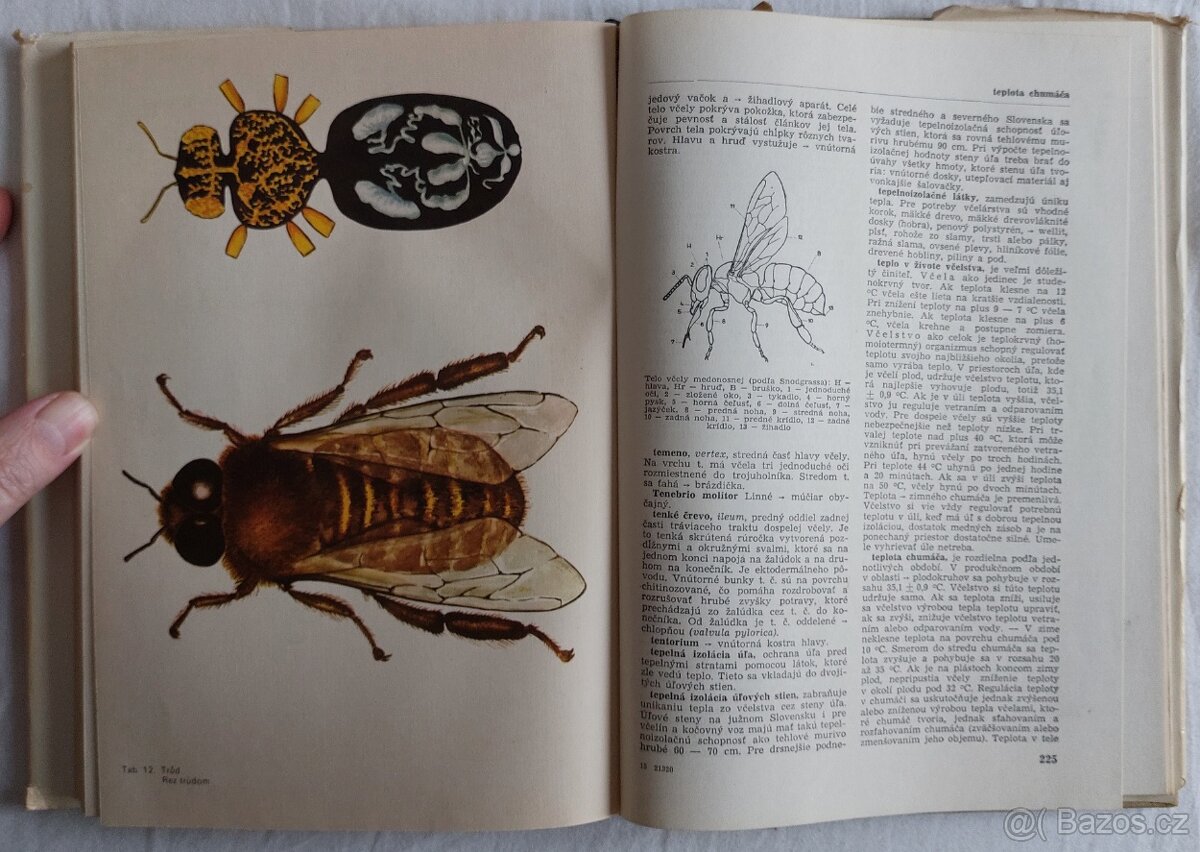 Včelársky náučný slovník - Ján Milla - 6