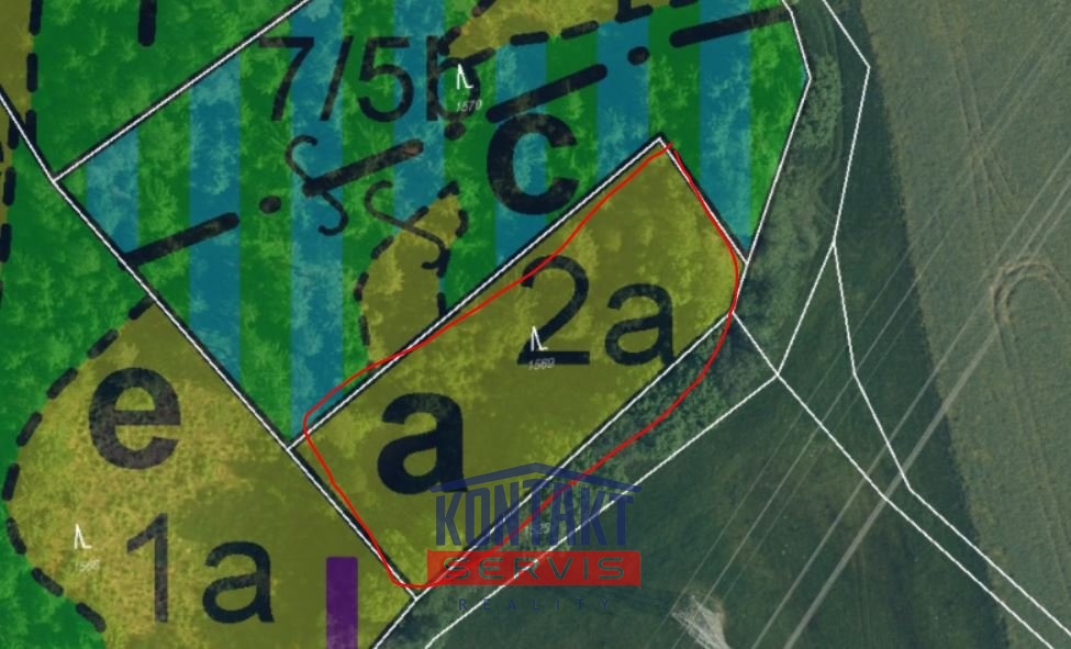 Prodej lesních pozemků u obce Radostín, ev.č. VŠ-7690 - 6
