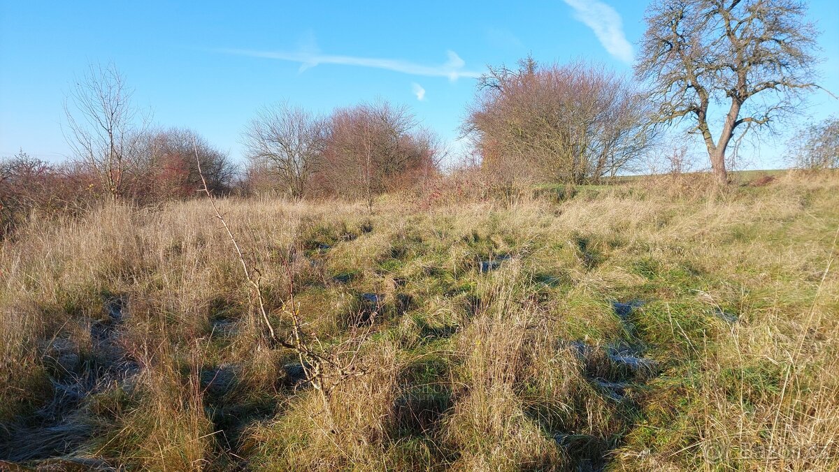 Prodej stavebního pozemku 1 424 m², Dřetovice, ev.č. 00068 - 6