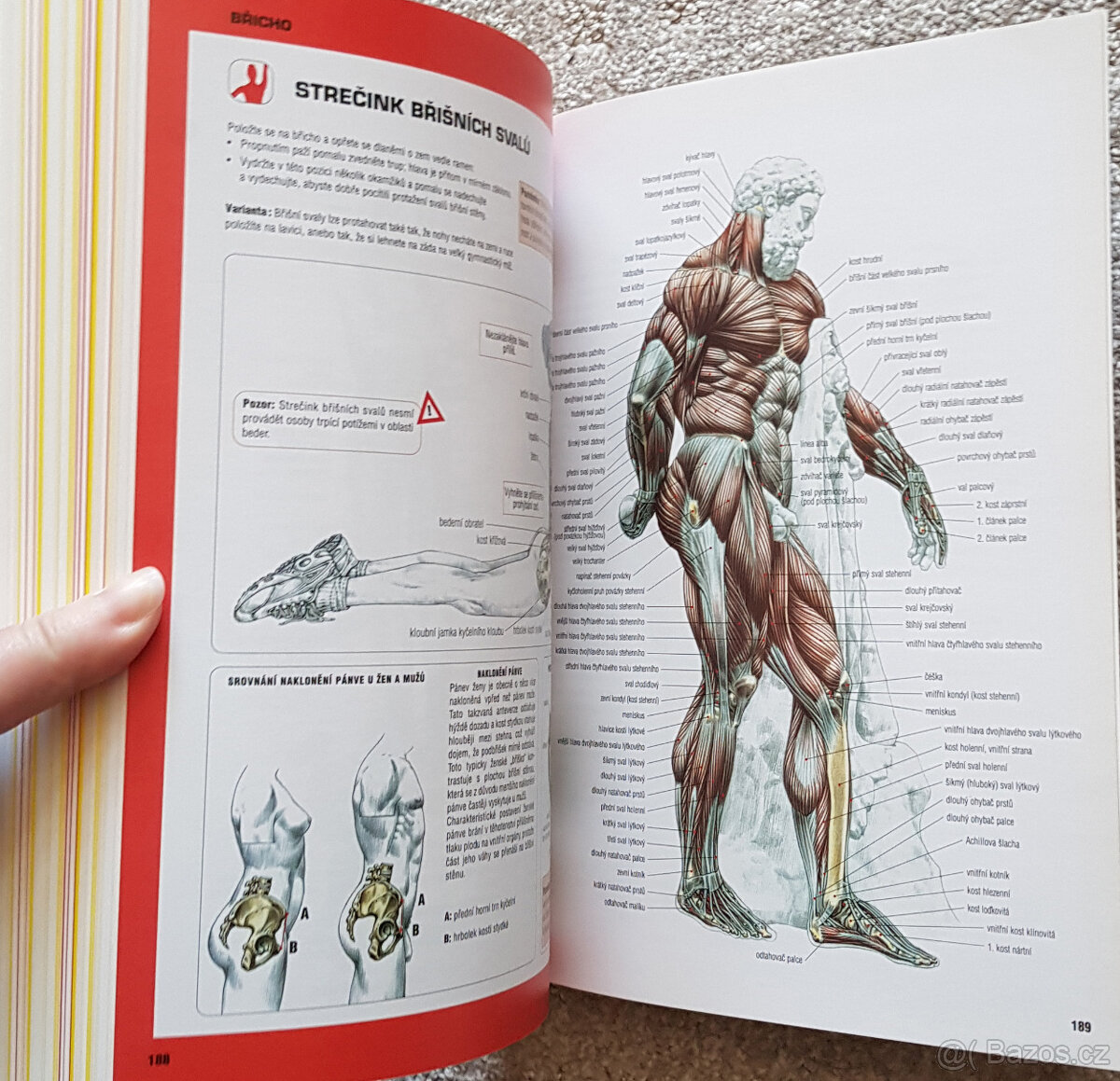 Posilování anatomický průvodce (Delavier) - 6