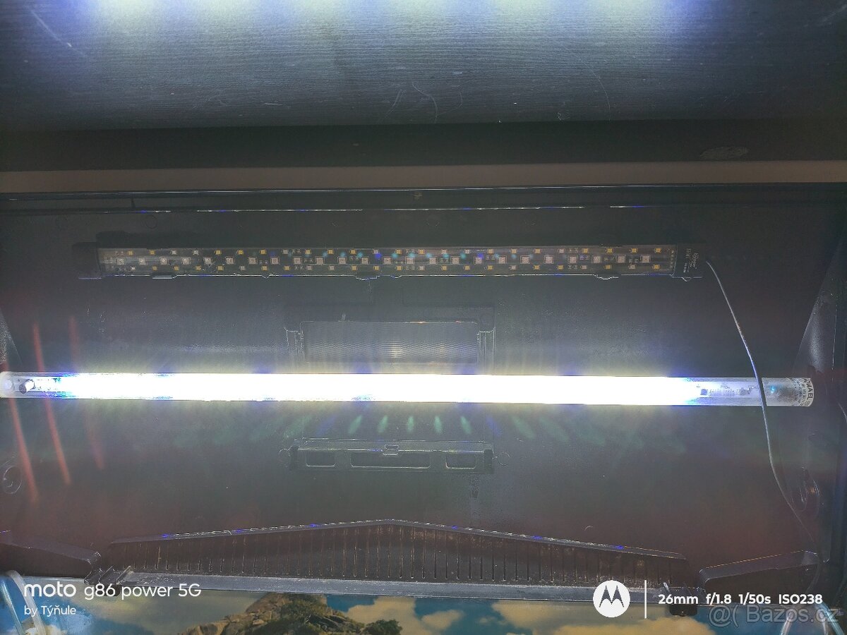 Akvárium i s rybkami - 6