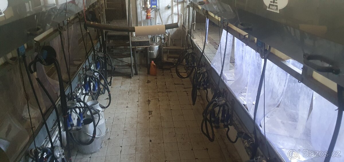 tank na mléko, dojírna bauer, proplach dojírny mýval - 6