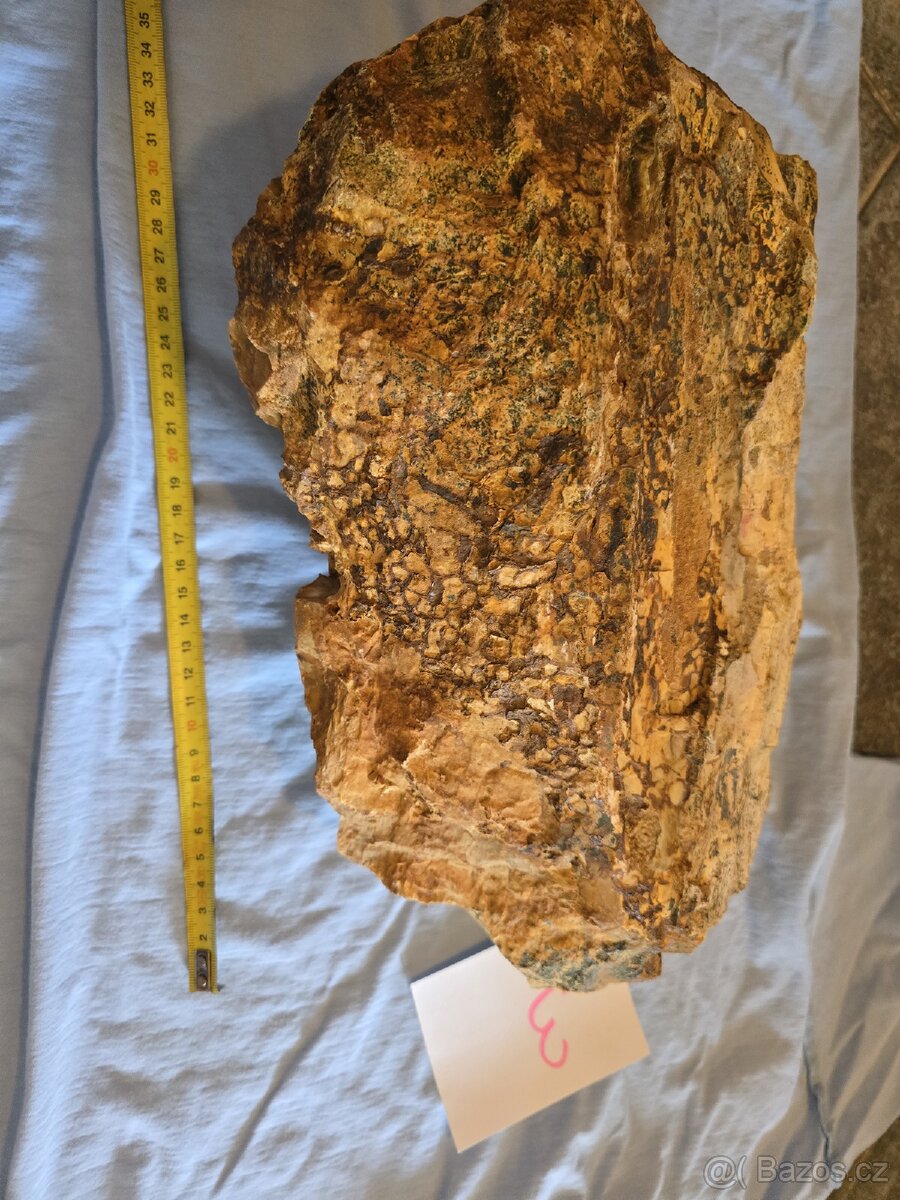 Zkamenělé dřevo do akvária - 6