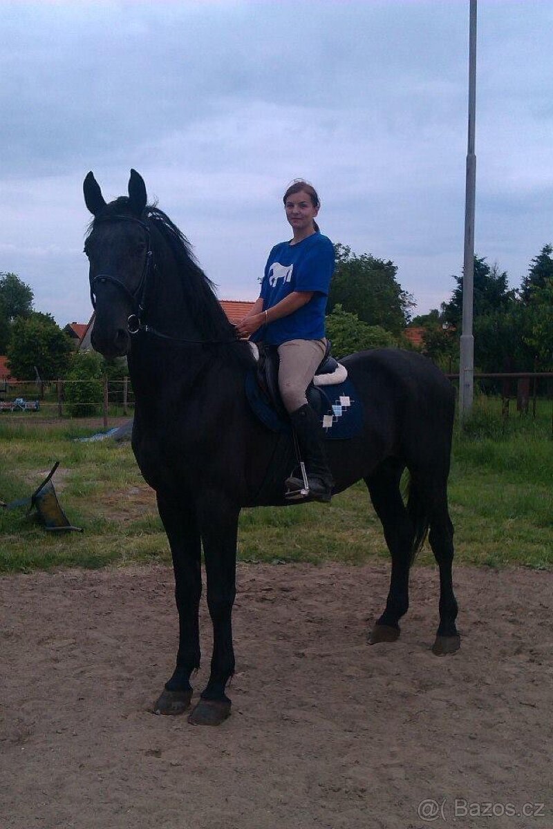 Obsedání koní - 6