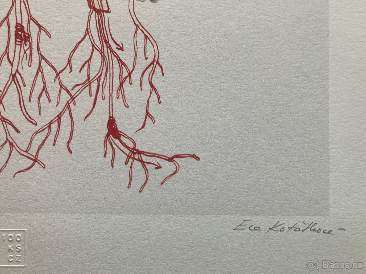 Eva Koťátková - Replanted - 6