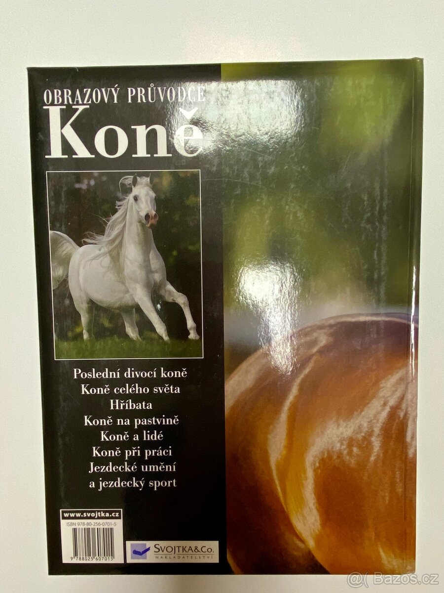 Obrazový průvodce koně - 6