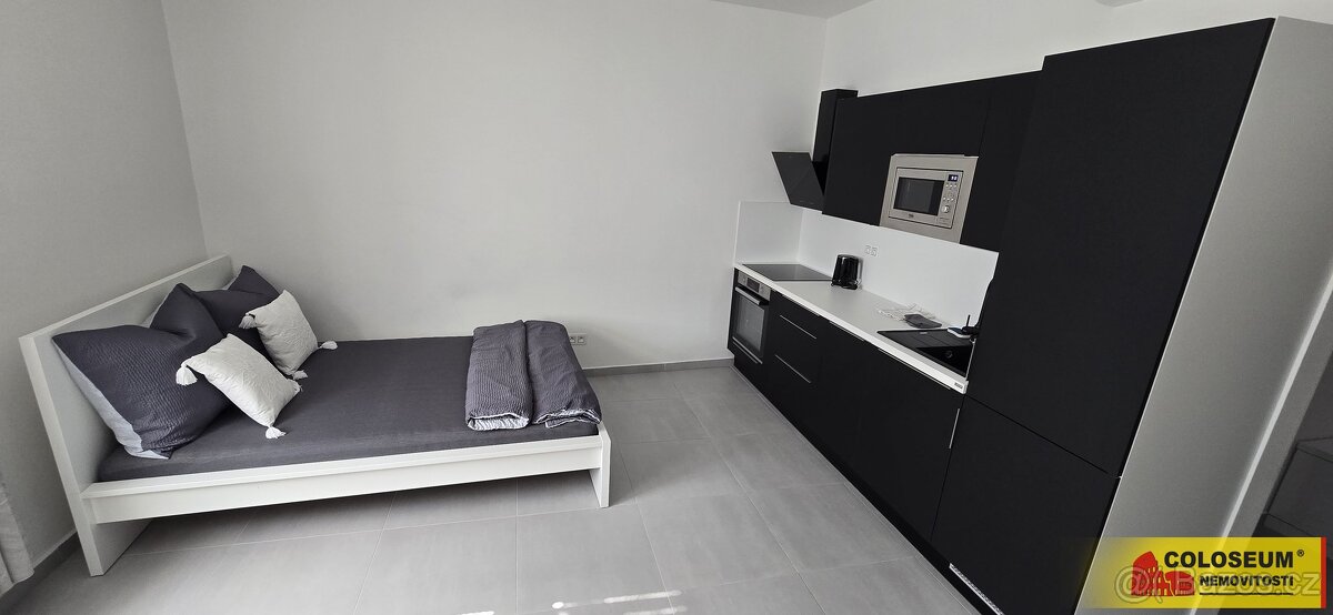 1+kk Apartment in Brno, Veveří - More