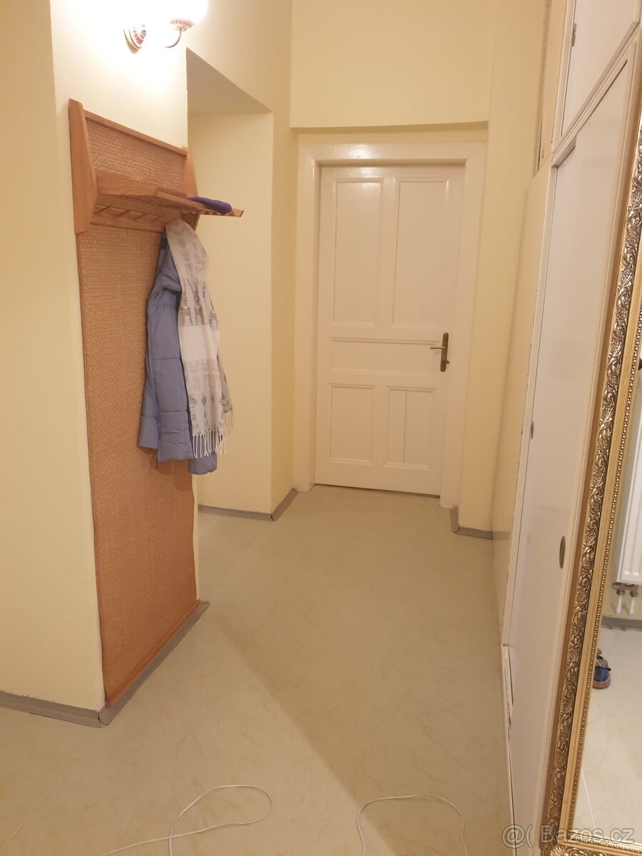 Pronájem samostatného pokoje - Praha 7. - 6