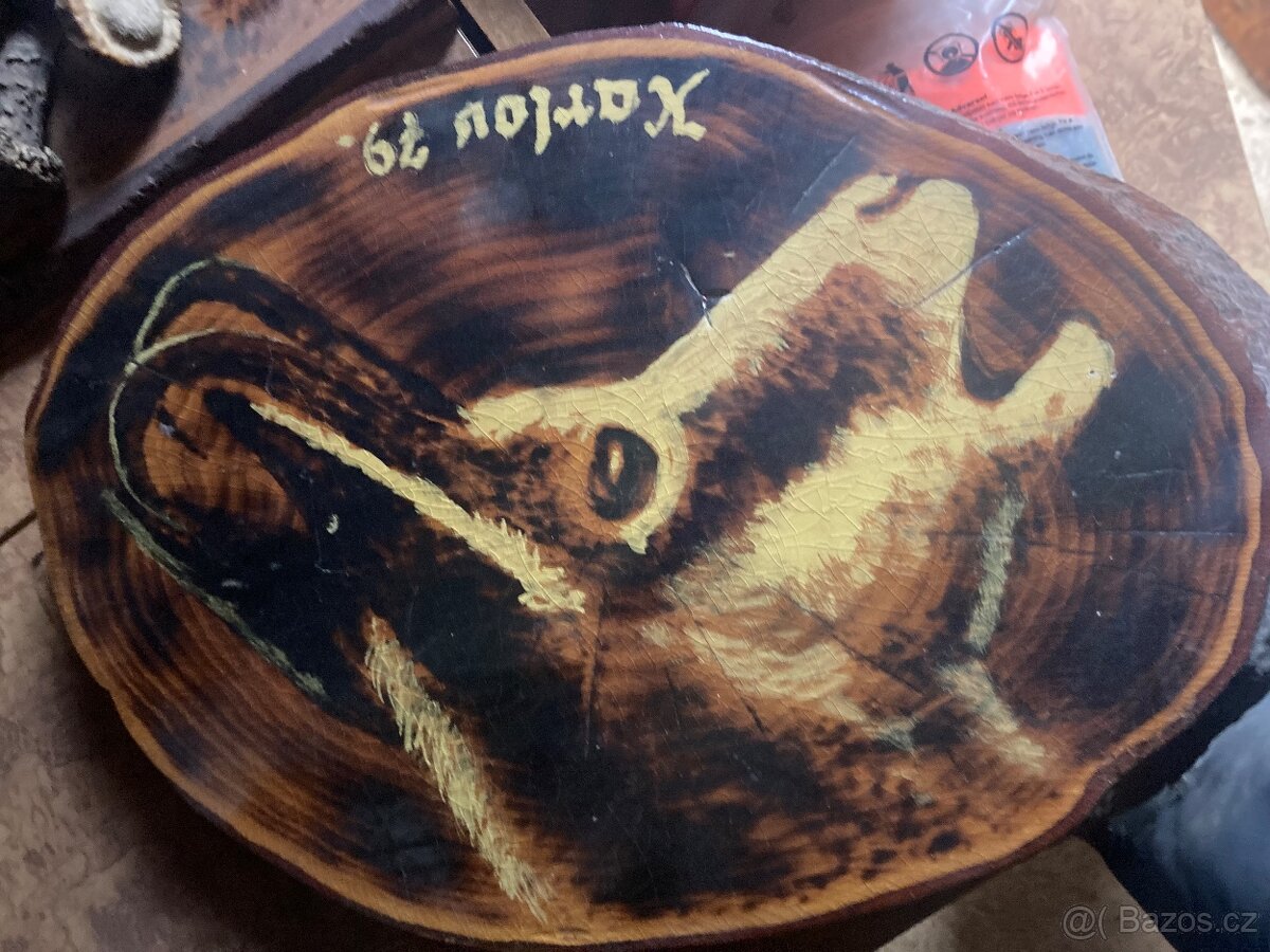 Daněk,myslivost - 6