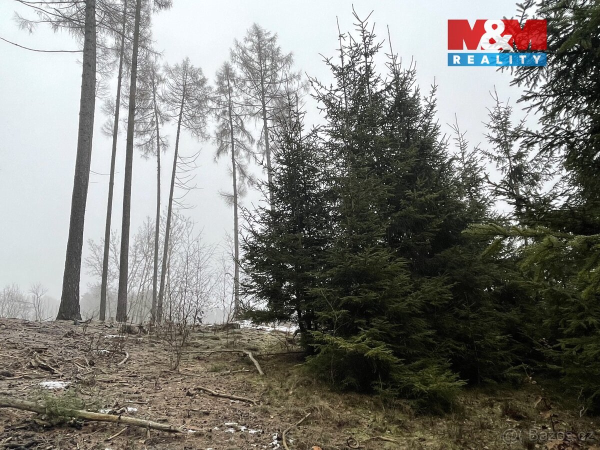 Prodej, les, 20194 m2, Pecka - 6